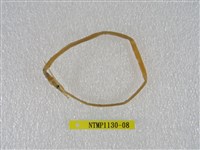 藏品(線尾鴨嘴鰻)的圖片